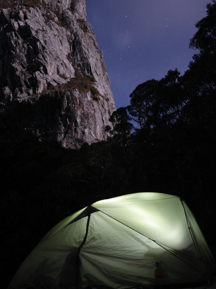 Stuart Saddle Campsite