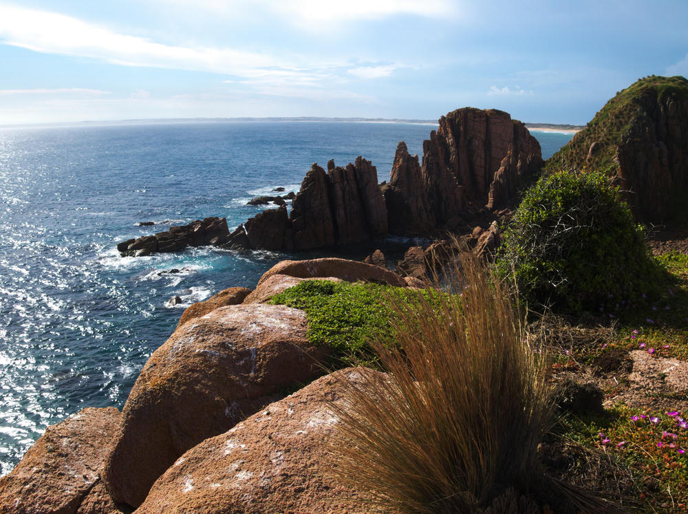 Cape Woolamai
scenery
