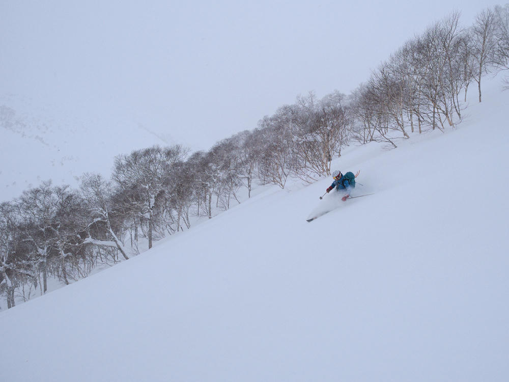 Nii-san telemarking in the Niseko
backcountry