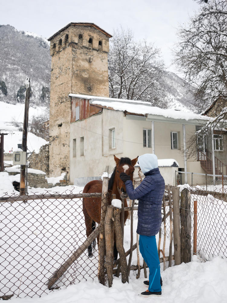 Horses and towers in
Mestia