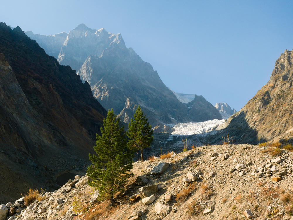 Chalaadi Glacier