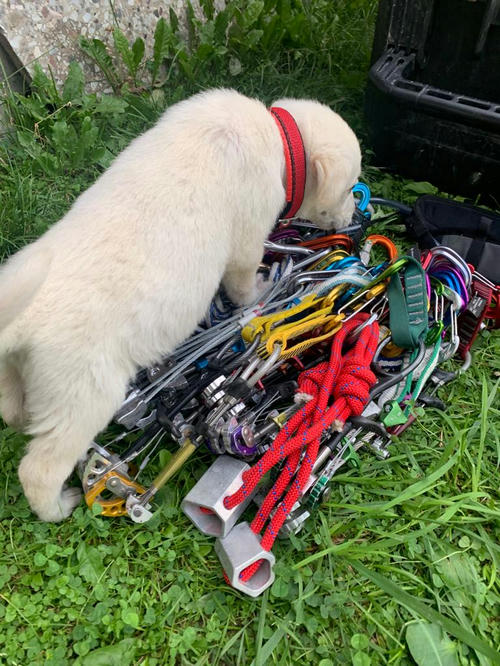 Snowy checking out the climbing gear on offer