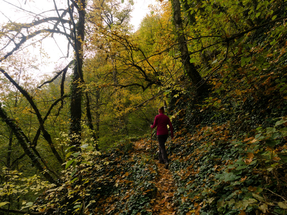 Hiking in Lagodekhi